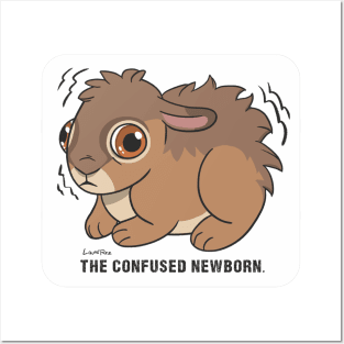 The Confused Newborn - EN - European Hare Posters and Art